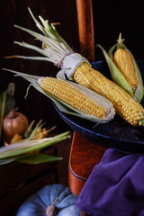 still life in rustic style from a fresh corn crop
