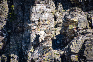 Glacier National Park