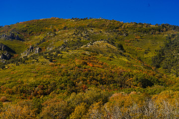 Fototapeta premium Fall on the Mountian