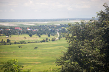 landscape farm with blue sky