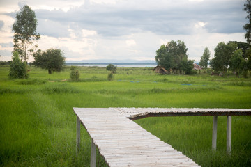 Fototapeta na wymiar landscape farm with blue sky
