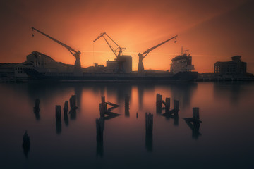 Fototapety na wymiar - Fototapeta24.pl