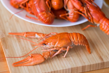 Food. Crawfish, two glasses beer