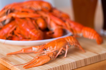Food. Crawfish, two glasses beer