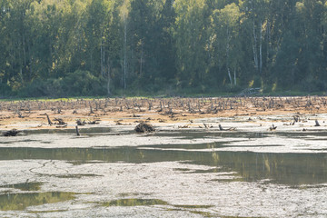 The lake is parched. The swamp dries up. The dried bolt in the forest.