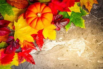 Harvest ripe of pumpkins with fall leaves, flat lay border, copy space on gray stone , retro toned