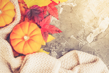 Thanksgiving pumpkins with colorful fall leaves in cosy knitted blanket close up with copy space, retro toned