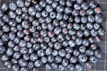 Fototapeta na wymiar Background of ripe blue blueberries