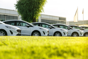 Row of brand new white cars in stock at the car dealership