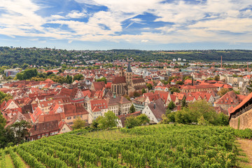 Fototapeta premium Esslingen am Neckar von der Esslinger Burg im Sommer