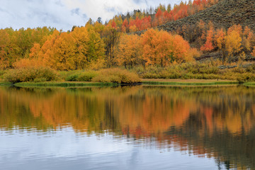 Scenic Autumn Reflection
