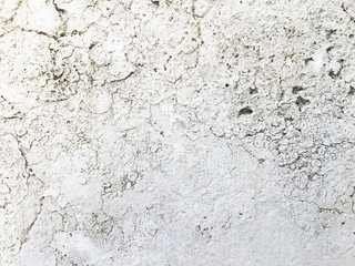porous surface. wall