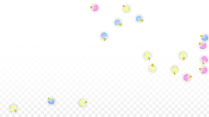 Vector Realistic Colorful Petals Falling on Transparent Background.  Spring Romantic Flowers Illustration. Flying Petals. Sakura Spa Design. Blossom Confetti. Design Elements for Wedding Decoration.