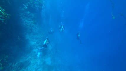 Fototapeta na wymiar scuba divers in the sea