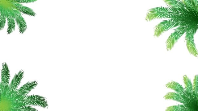 Coconut leaves  with empty for decoration background video.Summer graphic video concept

