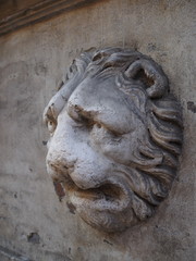 Ferrara, Italy. Leon head,  wall of an ancient house.