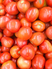 Group of fresh tomatoes red