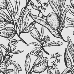 Fototapeta premium Olive black and white pattern with hand drawn outline elements
