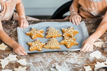 cropped shot of children holding baking tray with delicious ginger cookies