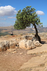 Israel