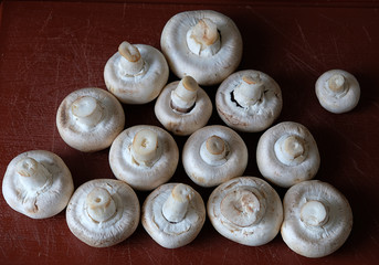 mushrooms champignons on a dark background