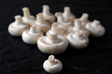 mushrooms champignons on a dark background