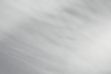 Obraz premium cień gałęzi i liści na białej ścianie cementu