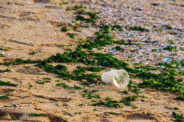 plastic cup on the beach. garbage