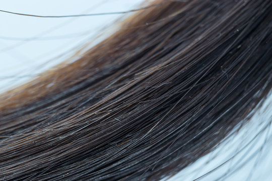 Close Up hairline on a white background.