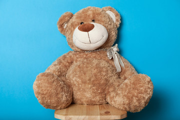 Teddy bear toy, brown soft doll.