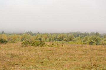 Russian field. Awnings in the field. View on the field.
