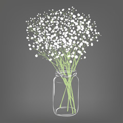 White flowers bouquet. Gypsophila flowers. Transparent clear glass jar. Grey background. Vector Illustration.