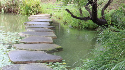 愛知 大府 二ツ池公園 雨上がりの池に流れ込む小川と浮石