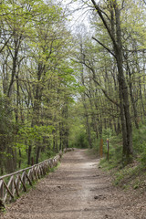 Parco Trentani - Riserva Naturale Nomentum - Fonte Nuova 