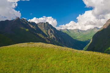Obraz premium Mountain summer. Sunny day. Green grass and flowers