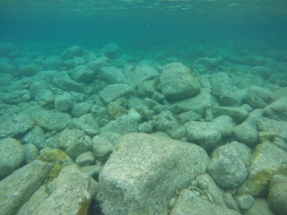 lecho marino