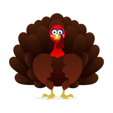 cartoon Turkey with feathers, thanksgiving card illustration