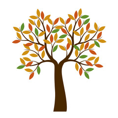 Naklejka na ściany i meble Color shape of Autumn Tree with color Leaf. Vector Illustration.