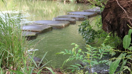 愛知 大府 二ツ池公園 雨上がりの池に流れ込む小川と浮石