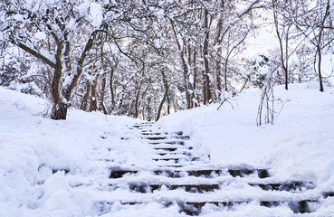 Stairs in winter park covered with snow.