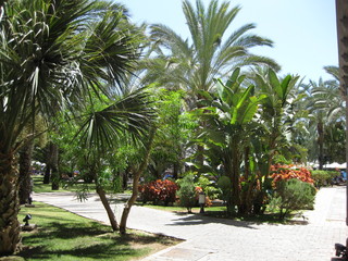 Palmgarten
