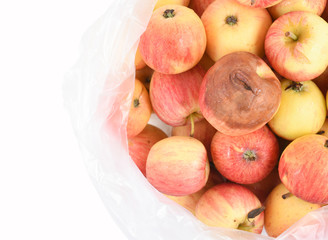 one rotten apple is included in the bag