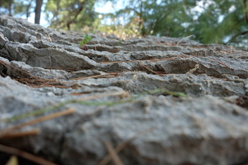 Split stone landscape