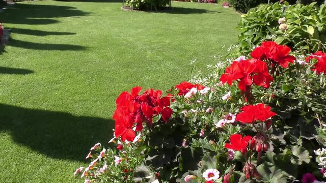 Gepflegte Gartenanlage mit Rasen und Blumen