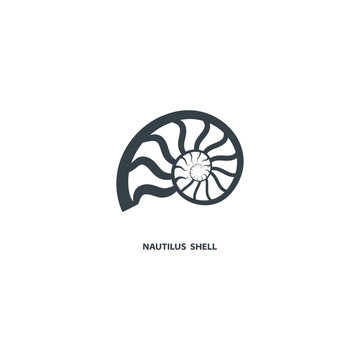 Nautilus shell icon, isolated on white background. Logo for your project. Vector illustration.