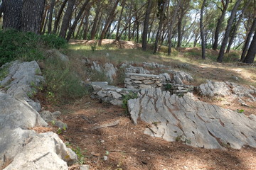 Fototapeta premium Split stone park landscape