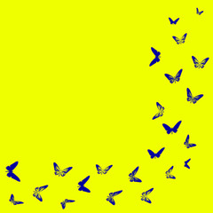 Swarm of blue stylized butterflies silhouettes on yellow background with empty space.