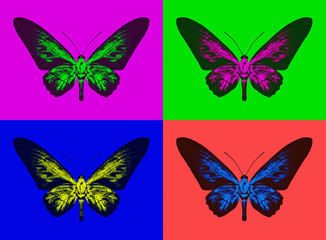 Fototapeta na wymiar Set of colorful butterflies silhouettes on multicolored background.