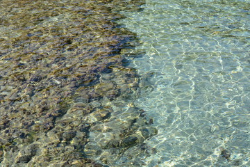 Afytos beach in Greece, rocks and blue sea