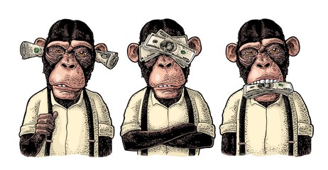 Trzy mądre małpy. Nie widzieć, nie słyszeć, nie mówić. Grawerowanie vintage
